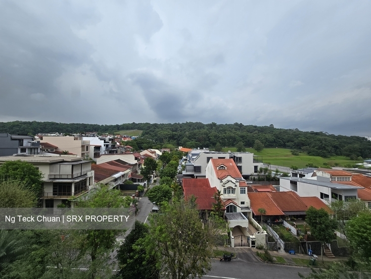 Chantilly Rise (D23), Condominium #550348331